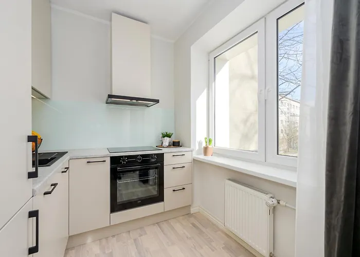 Newly Renovated 1-bedroom In The Heart Of Tallinn